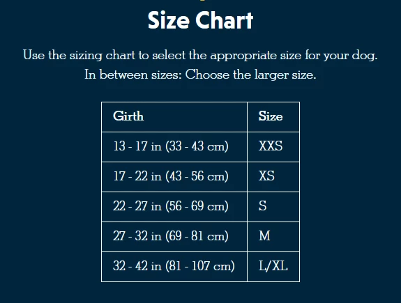 Ruffwear Front Range Dog Harness, Tumalo Teal 2 Ruffwear Front Range Dog Harness, Tumalo Teal - Image 2