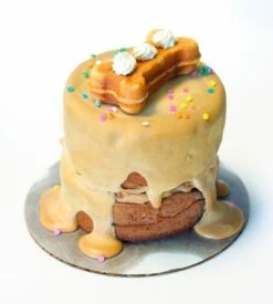 The Seattle Barkery Frozen Peanutbutter Pup Cake Dog Treat
