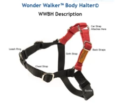 Dolan's Dog Doodads Wonder Walker Body Halter Dog Harness, Pumpkin Spice