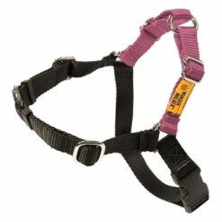 Dolan's Dog Doodads Wonder Walker Body Halter Dog Harness, Rose