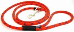 Krebs Recycle Reggie Dog Leash, Color Varies