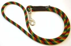 Krebs Recycle Heeler Dog Leash, Color Varies