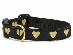 Up Country Dog Collar, Heart Of Gold