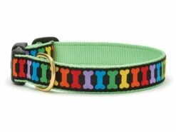 Up Country Dog Collar, Rainbones