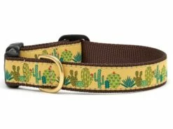 Up Country Dog Collar, Succulents