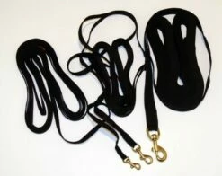 Dolan's Dog Doodads Training Line