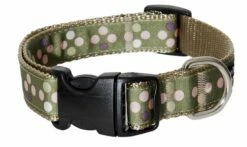 Paw Paws Sweet Pea Soup Dog Collar