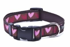 Paw Paws Valentines Hearts Dog Collar
