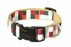 Paw Paws Hula Hoop Block Dog Collar
