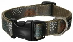 Paw Paws City Slicker Fireworks Collar