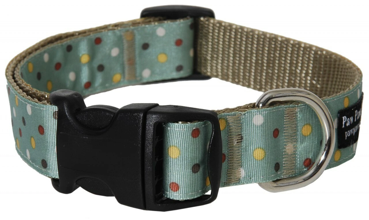 Paw Paws City Slicker Dots Dog Collar 1 Paw Paws City Slicker Dots Dog Collar