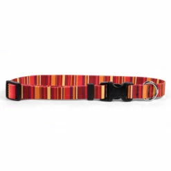 Yellow Dog Design Dog Collar Sunset Stripe