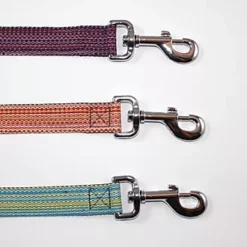 Goli Design Dog Leash Haight Ashberry Huckleberry