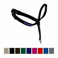 PetSafe Gentle Leader Quick Release Dog Headcollar, Black