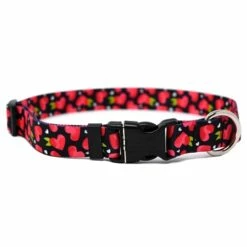 Yellow Dog Design Collar, Fruity Hearts