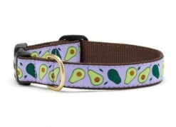 Up Country Dog Collar, Avocado