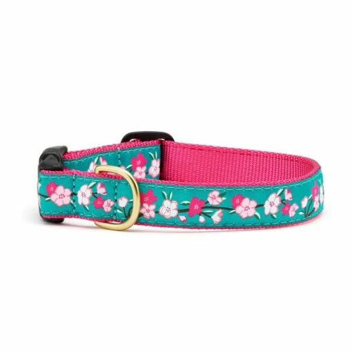 Up Country Dog Collar, Cherry Blossoms 4 Up Country Dog Collar, Cherry Blossoms -Pet Products Shop image 225328