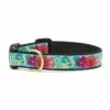 Up Country Dog Collar, Flower Story