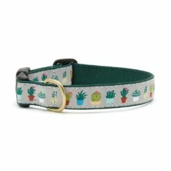Up Country Dog Collar, Planted