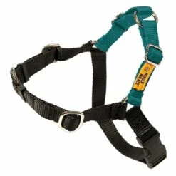 Dolan's Dog Doodads Wonder Walker Body Halter Dog Harness, Teal