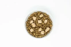 Stella & Chewy's Raw Blend Wholesome Grains Cage-Free Recipe With Pumpkin & Quinoa Dry Dog Food -Pet Products Shop image 79592 VcvdfgG