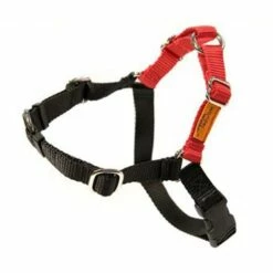 Dolan's Dog Doodads Wonder Walker Body Halter Dog Harness, Red