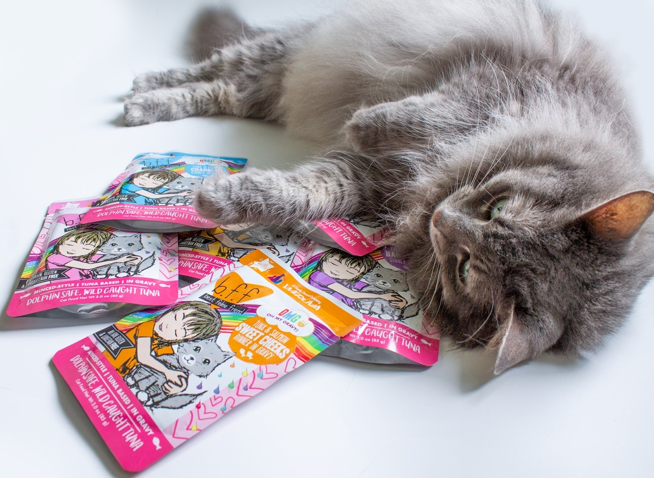 Pet Products Shop 10 Pet Products Shop -Pet Products Shop 217747603 10159262576716181 2283930056642142148 n